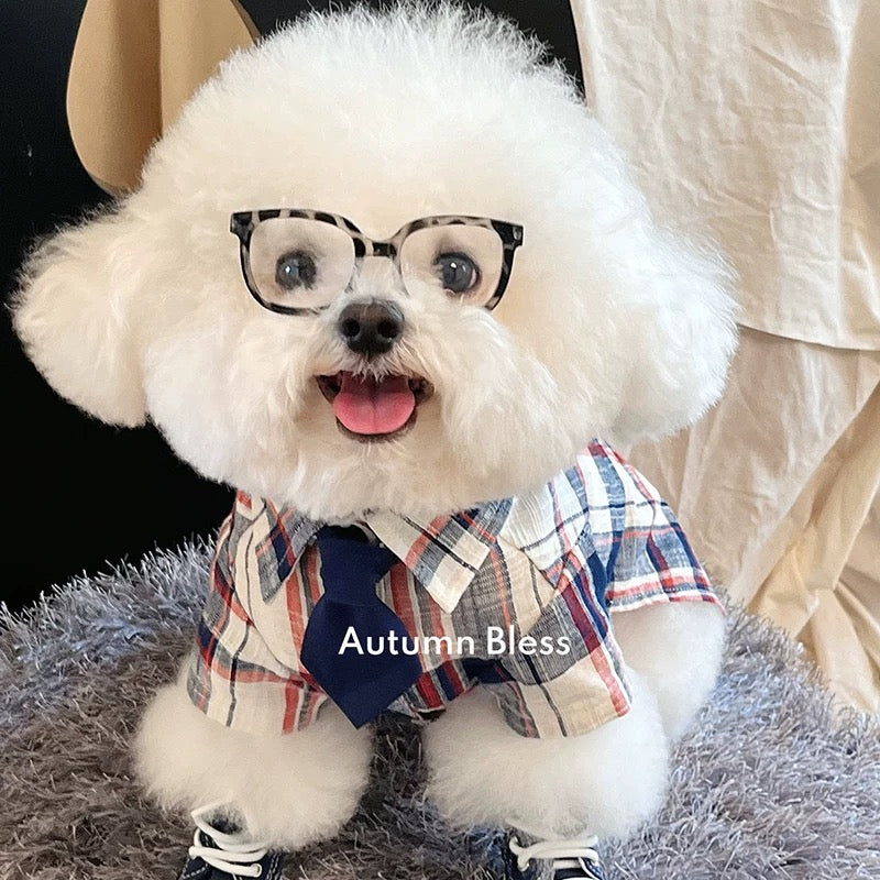 Autumn Bless おしゃれなタイ付き♪ コットンチェックシャツ | Cotton Check Shirt with Tie