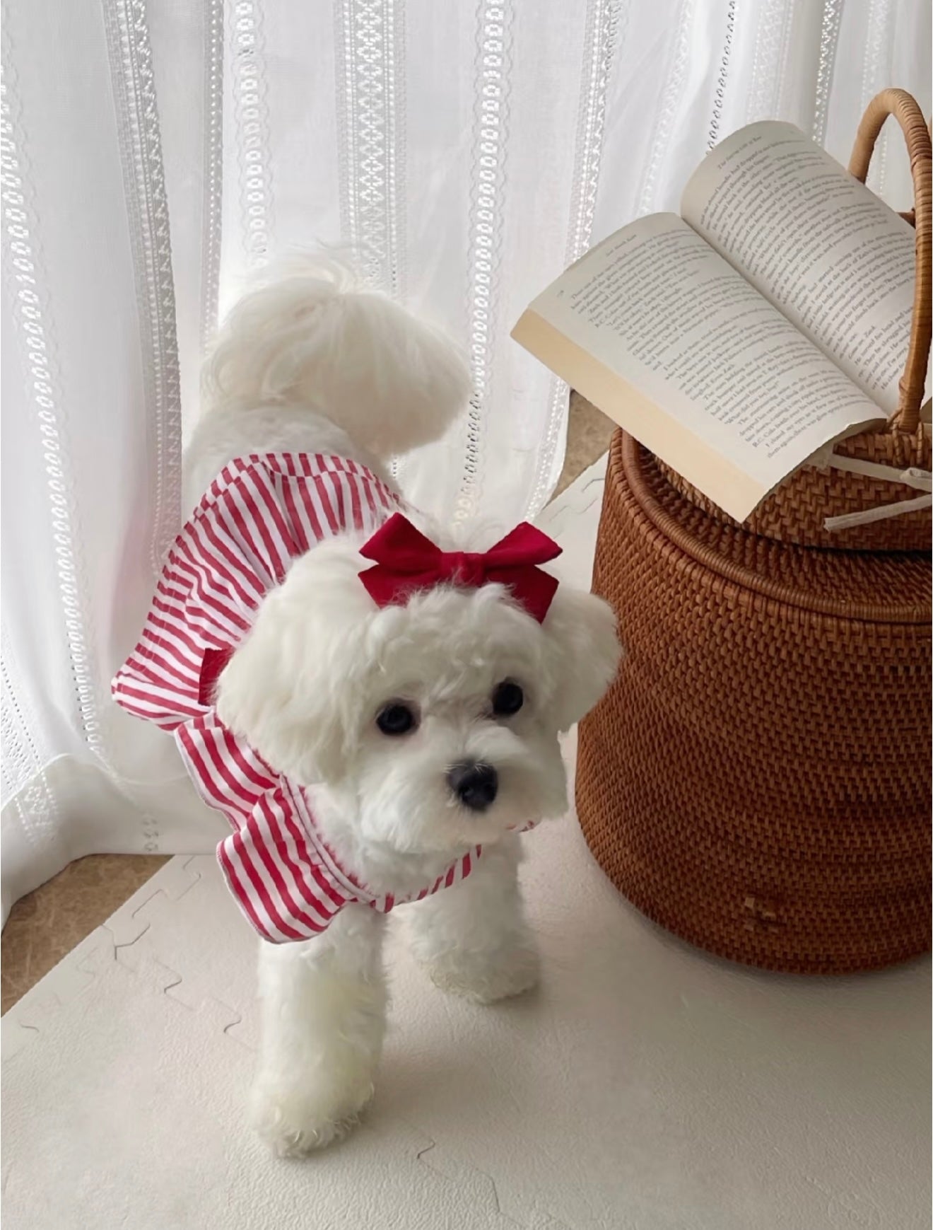 Autumn Blessプレッピーリボンストライプワンピース | Preppy Ribbon Stripe Dress