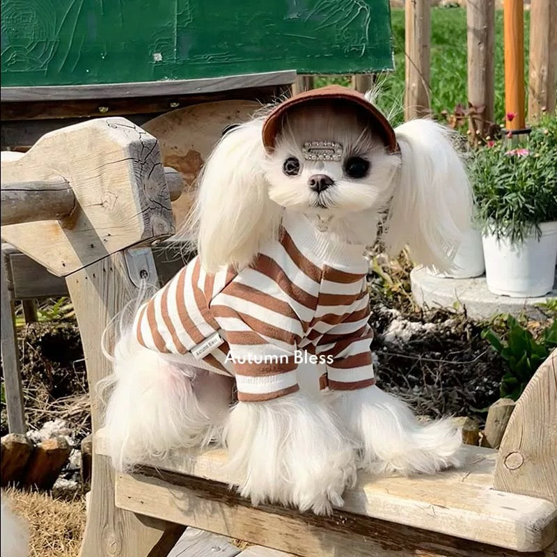 Autumn Bless ストライプ&ハーネスに合わせるキャップ&リード | Matching Cap & Leash – Stripe & Harness Pairing