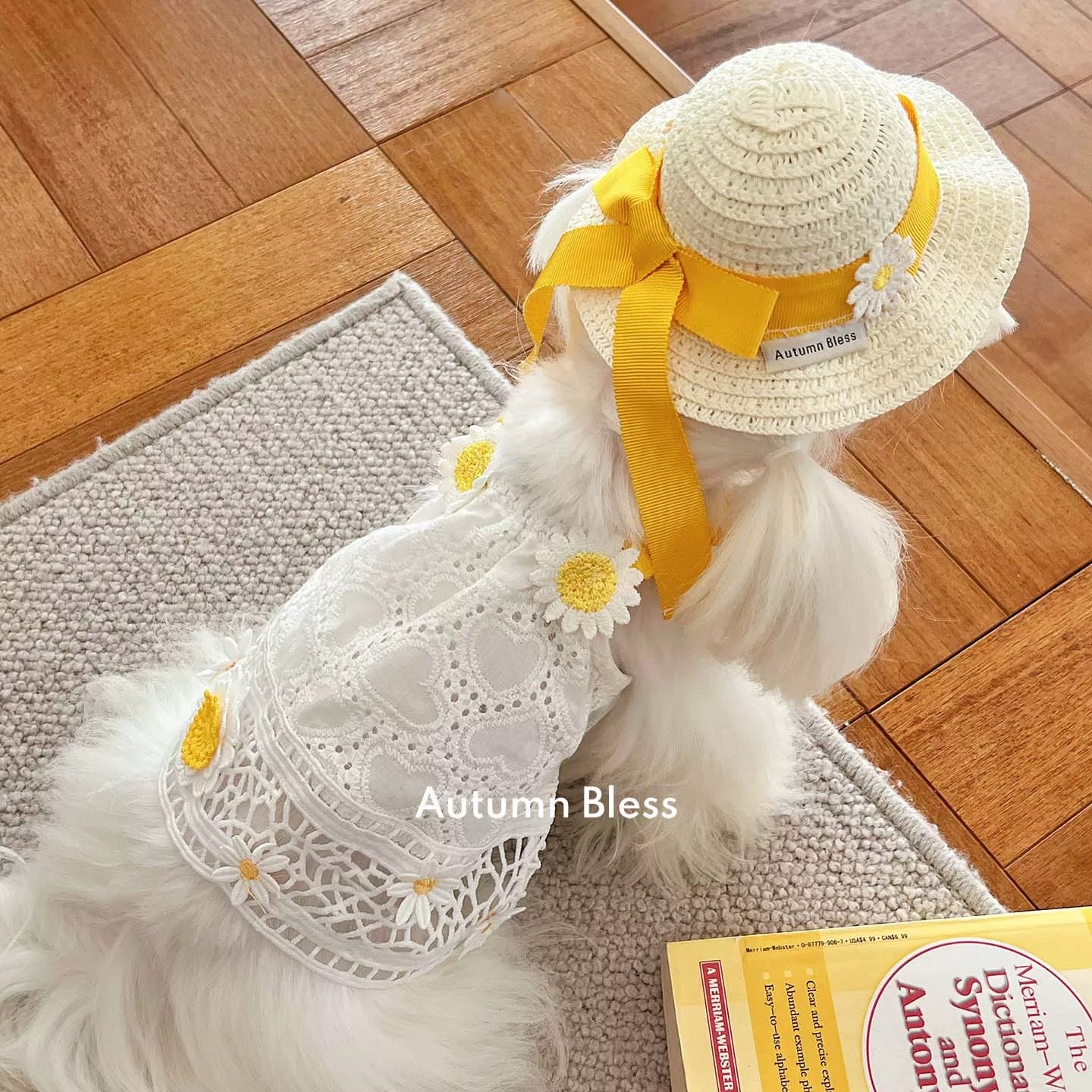 Autumn Bless レモンデイジー&マリンピクニックワンピース | Lemon Daisy & Marine Picnic Dress