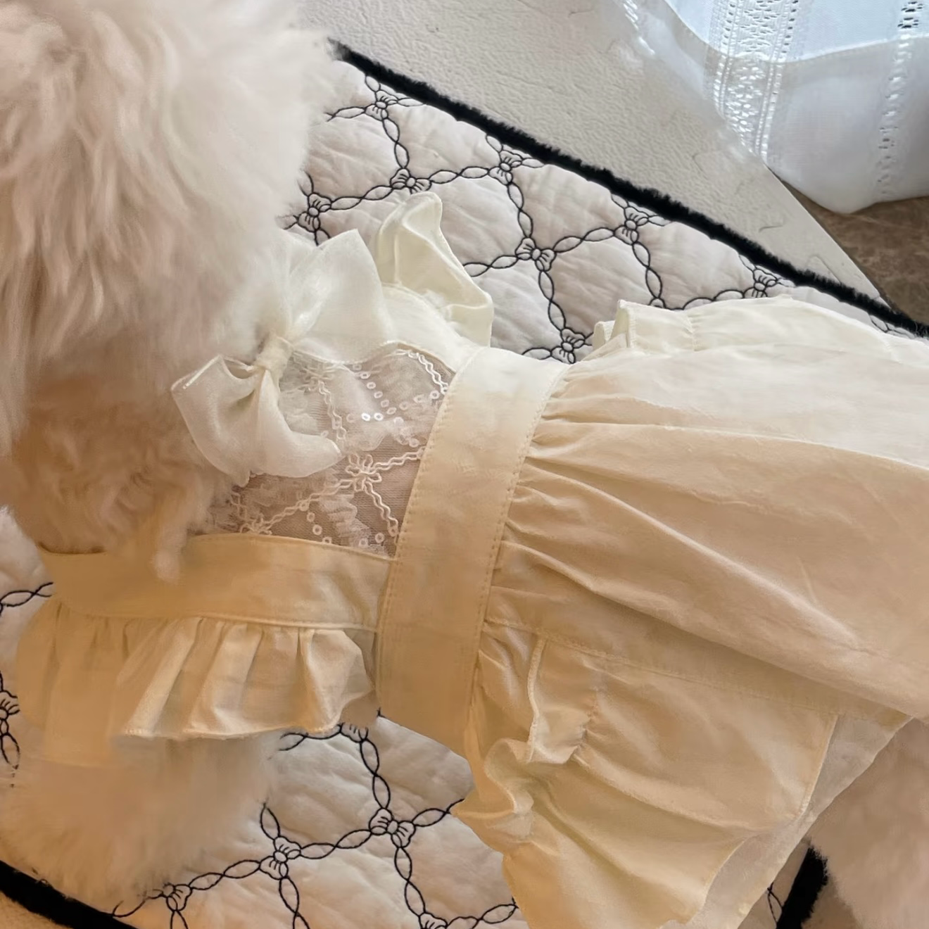 Autumn Bless ホワイトレースフリルドレス | White Ruffled Lace Dress