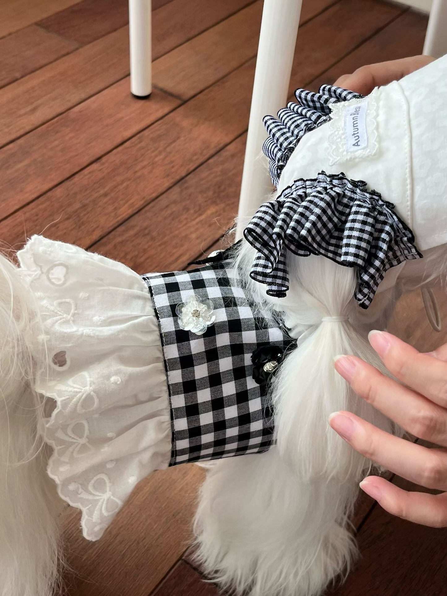 Autumn Bless チェックリボンキャップ&レースリード | Checkered Ribbon Cap & Lace Leash