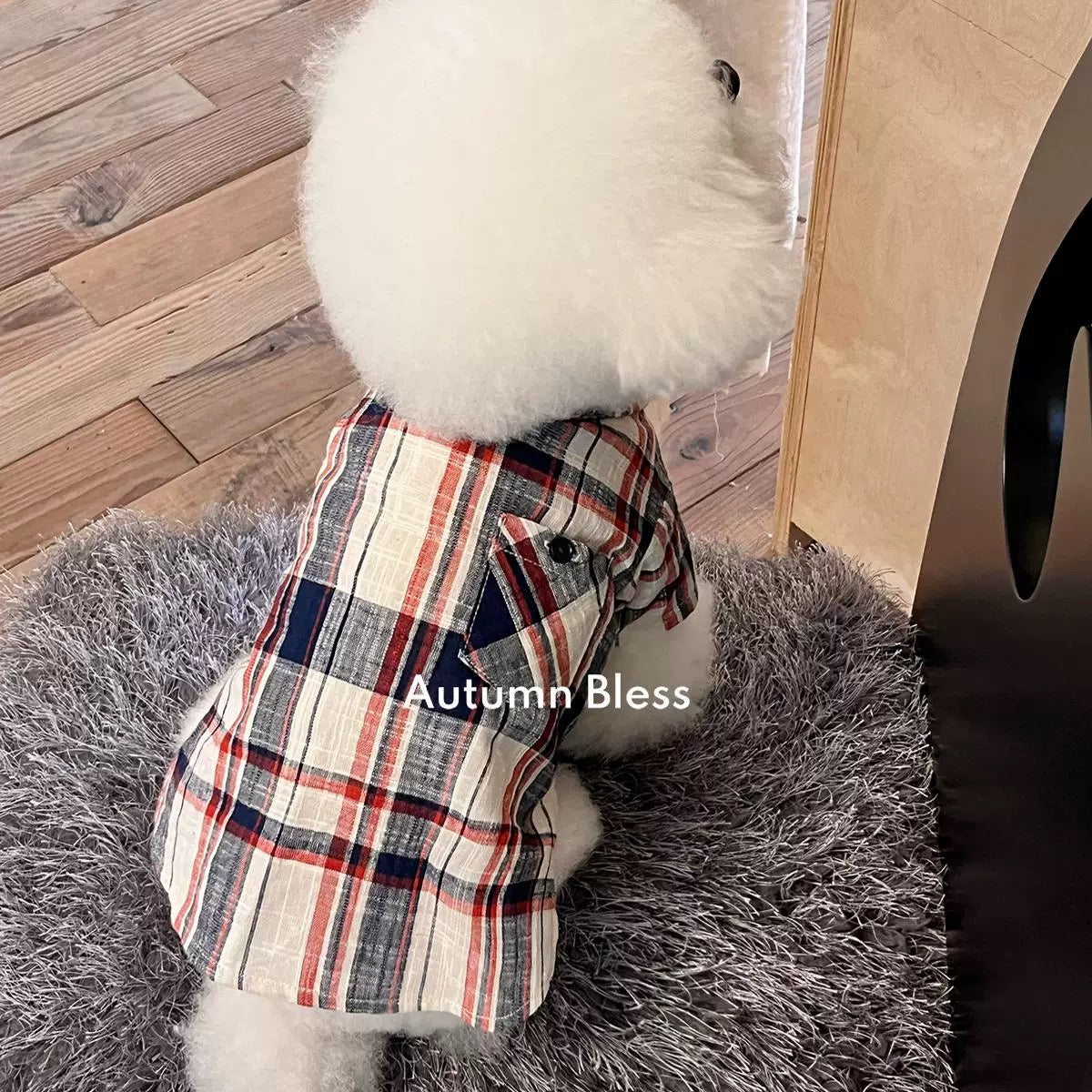 Autumn Bless おしゃれなタイ付き♪ コットンチェックシャツ | Cotton Check Shirt with Tie