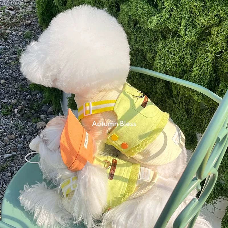 Autumn Bless ストライプ&ハーネスに合わせるキャップ&リード | Matching Cap & Leash – Stripe & Harness Pairing