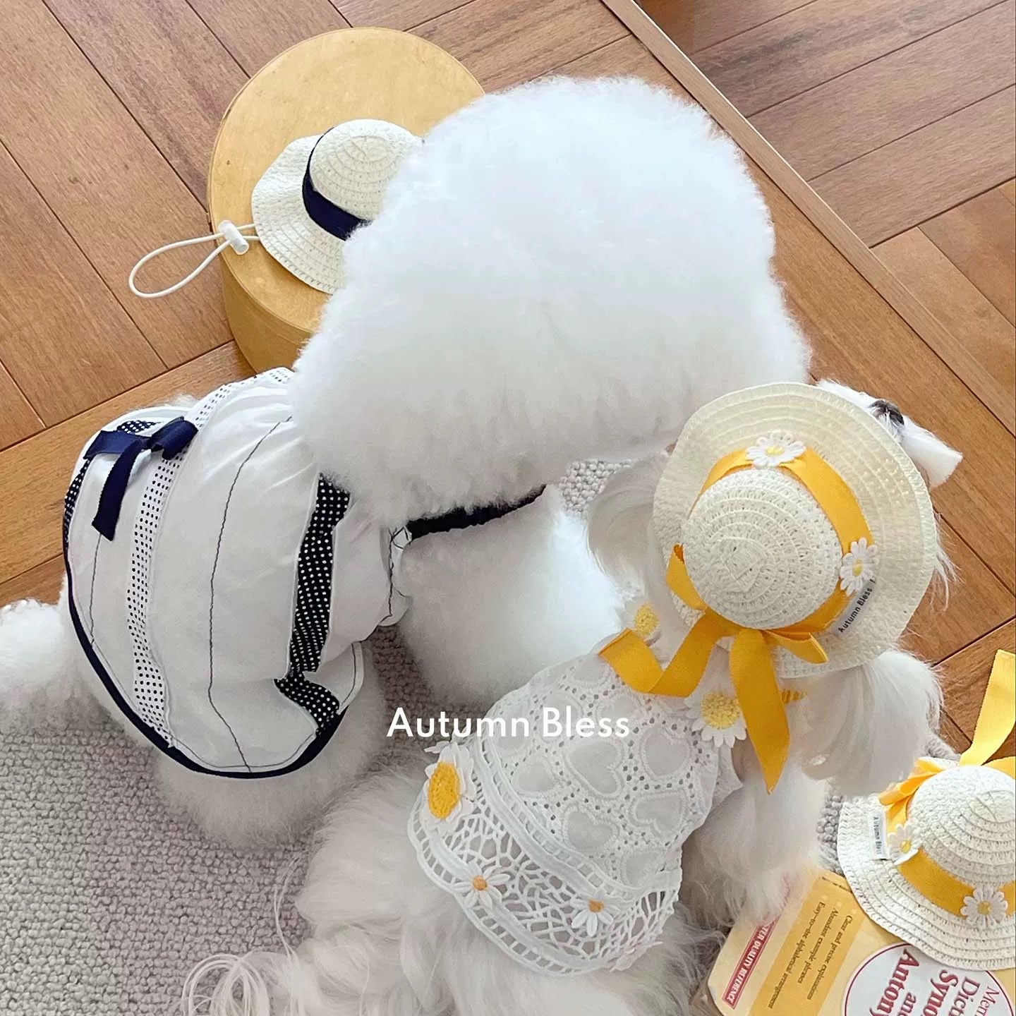 Autumn Bless レモンデイジー&マリンピクニックワンピース | Lemon Daisy & Marine Picnic Dress