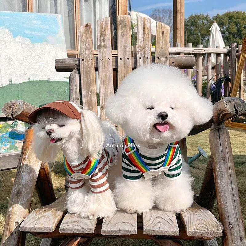 Autumn Bless レインボーツイルハーネス&フリンジヘムデザイン | Rainbow Twill Harness with Fringed Hem