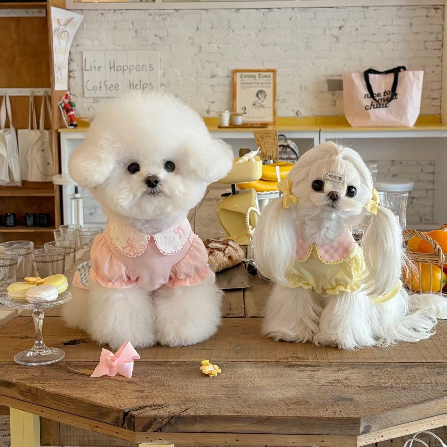 Autumn Bless バレンタイン フリルカラー ギンガムワンピース｜小型犬