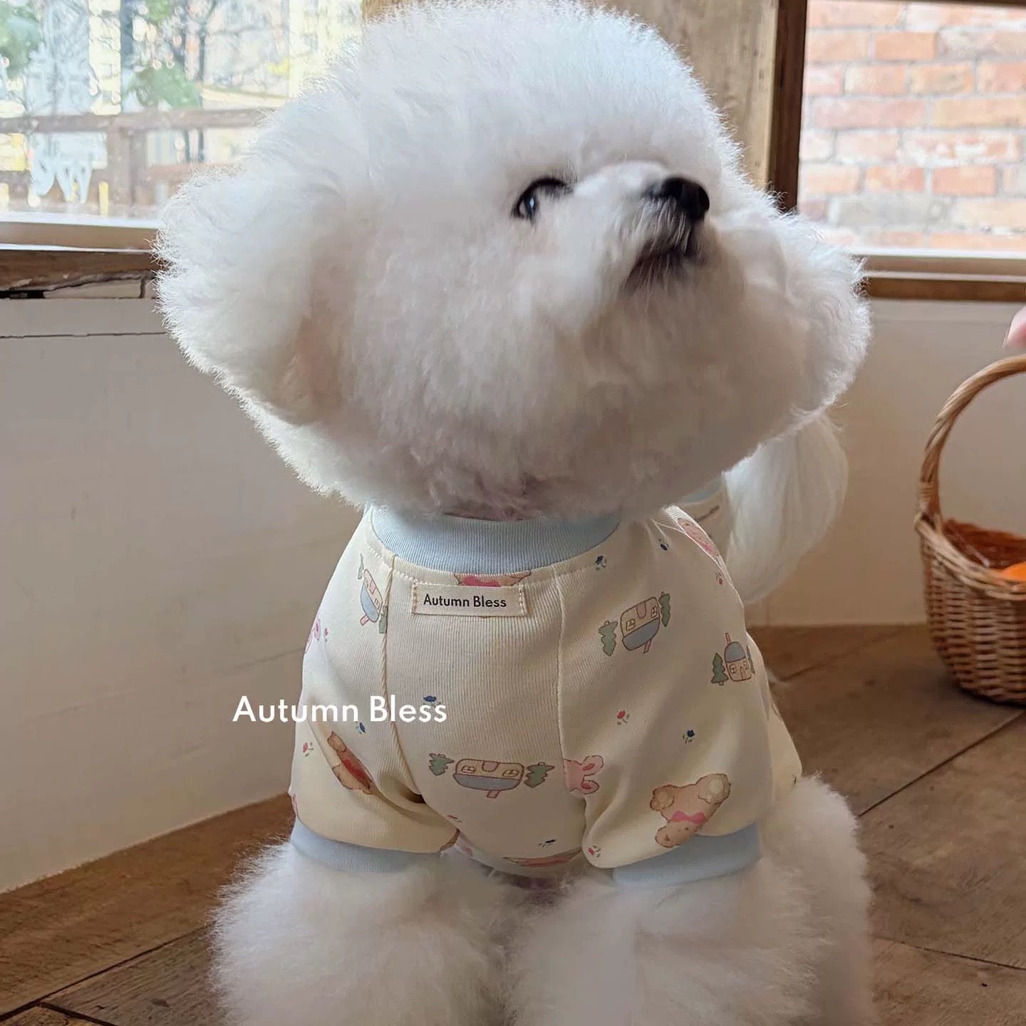 Autumn Bless くまさん柄 やさしいカットソー