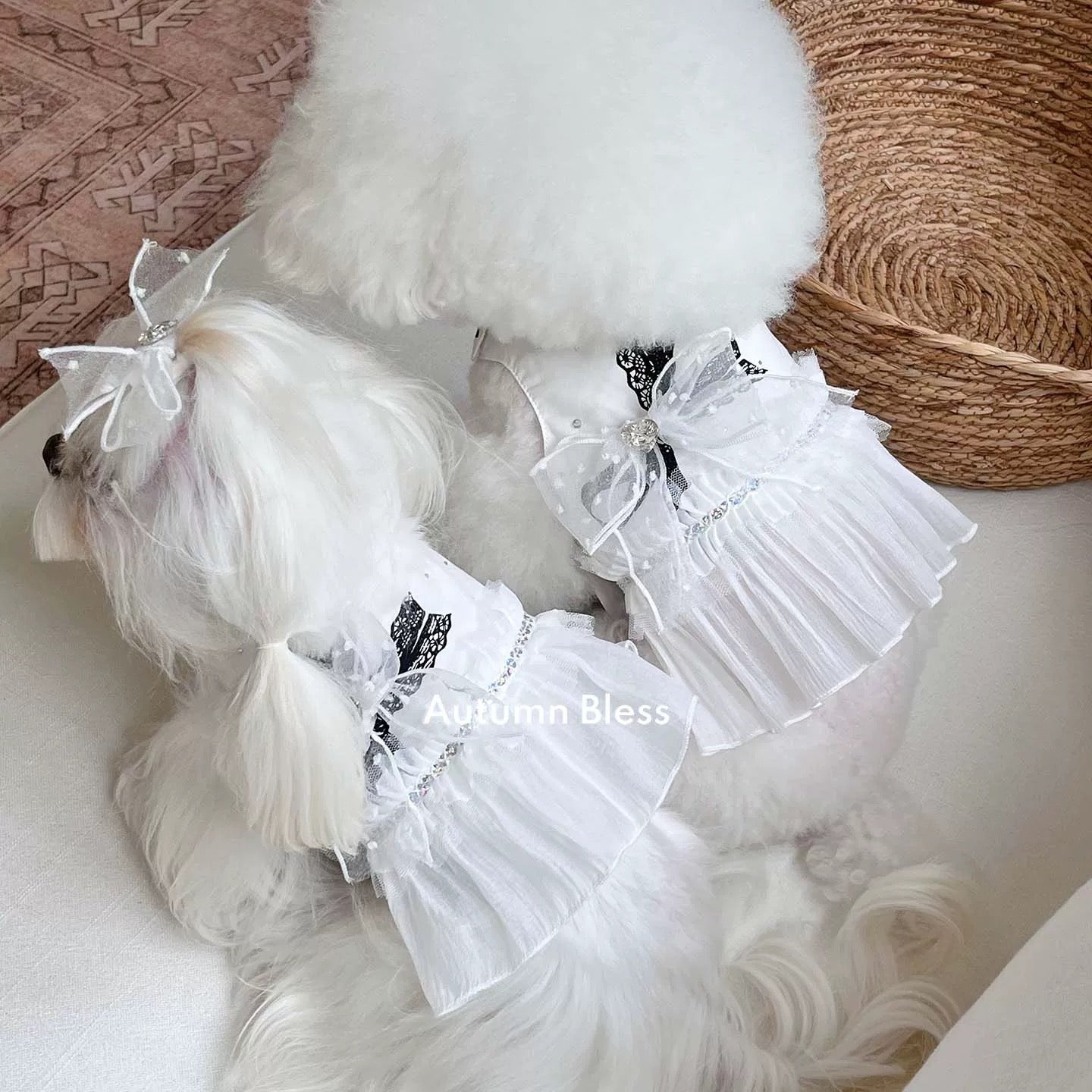 Autumn Bless 【数量限定】ホワイトレースリボンハーネス（ヘアクリップ付き）[Limited Edition] White Lace Bow Harness|