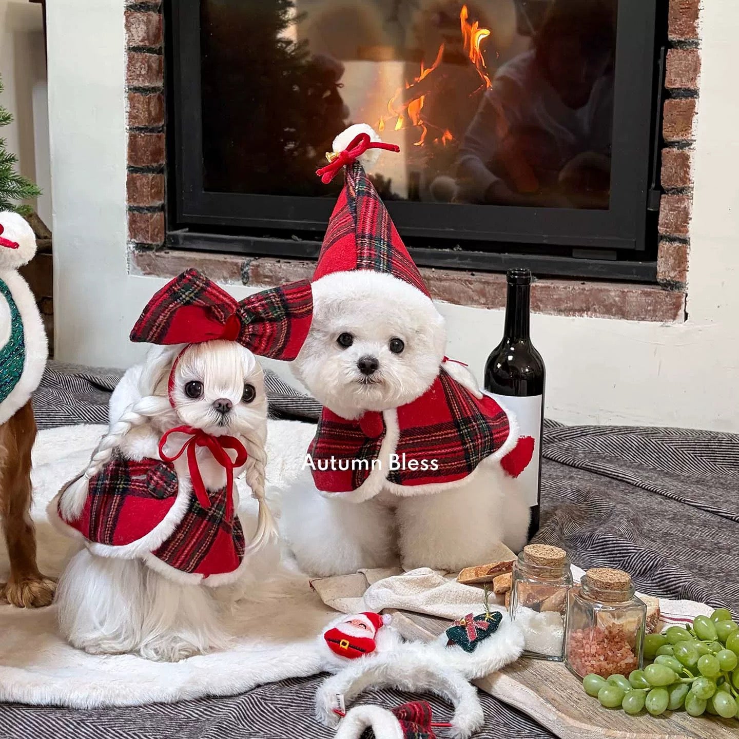 Autumn Bless メリーベリークリスマスケープセット | MerryBerry Christmas Cape Set