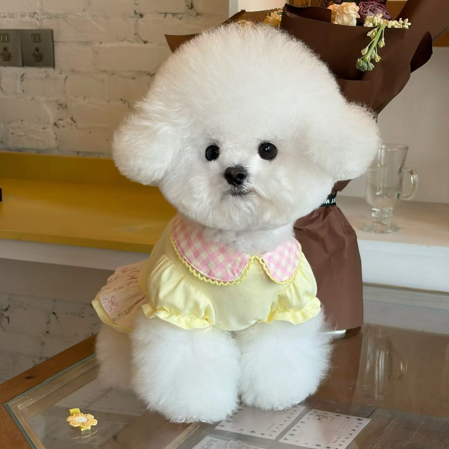 Autumn Bless バレンタイン フリルカラー ギンガムワンピース｜小型犬