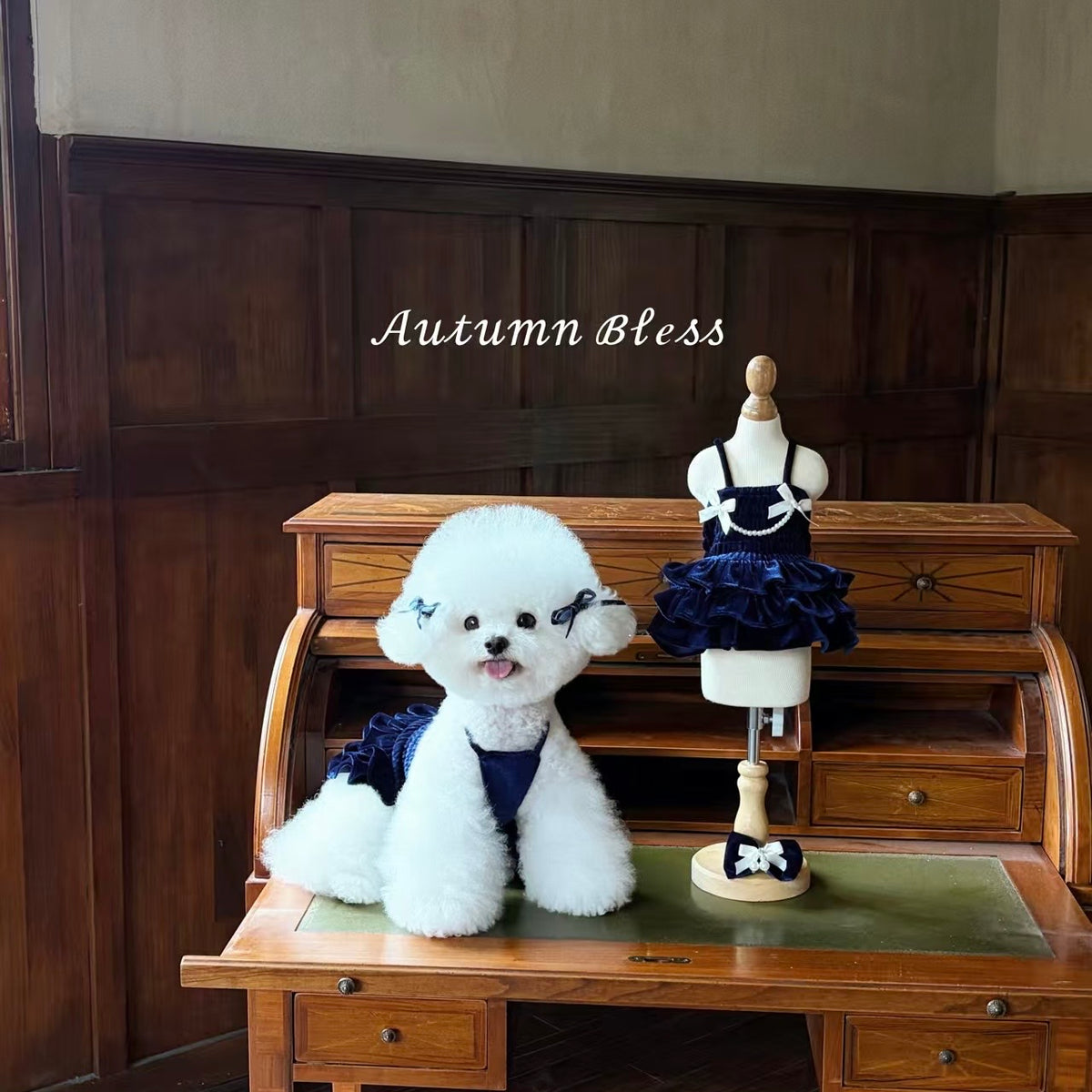 Autumn Bless ベロアパールリボンワンピース