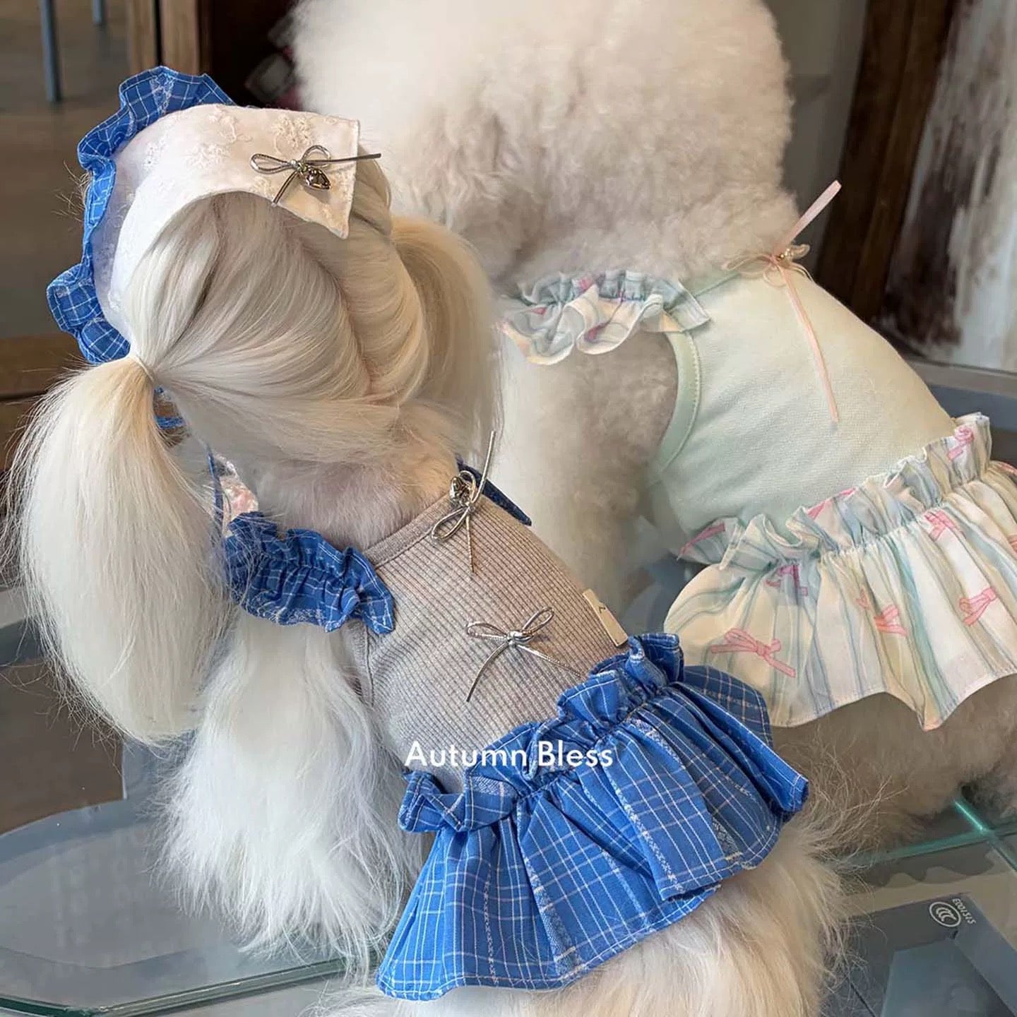 Autumn Bless フリルストラップドッキングワンピース｜春夏犬服・小型