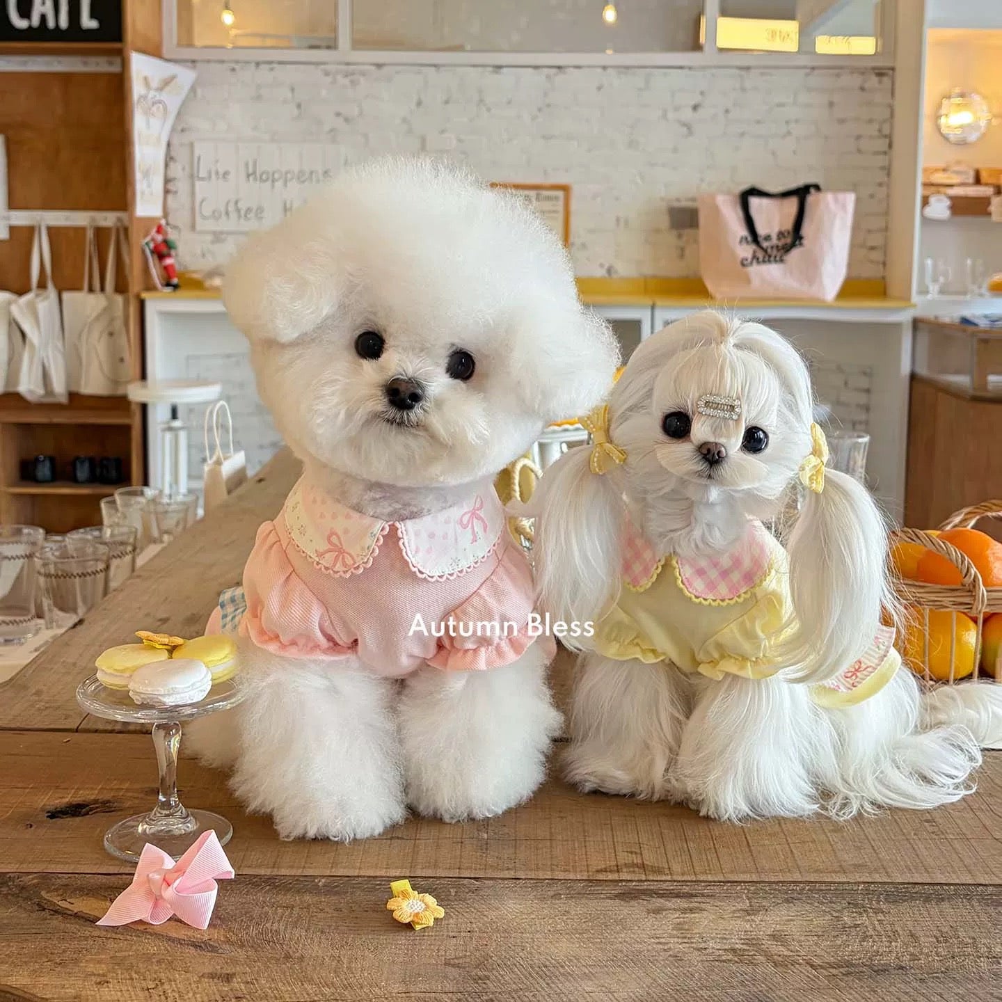 Autumn Bless バレンタイン フリルカラー ギンガムワンピース