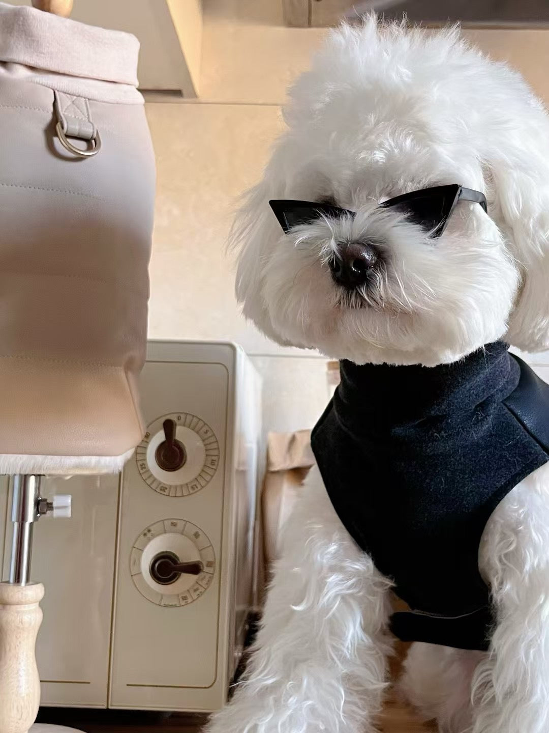 Autumn Bless PUレザーあったかペットベスト | PU Leather Warm Pet Vest