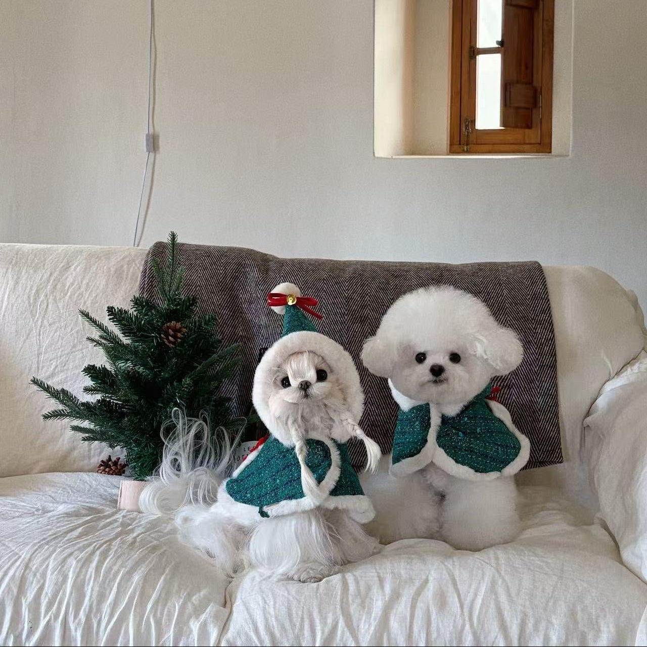 Autumn Bless メリーベリークリスマスケープセット | MerryBerry Christmas Cape Set