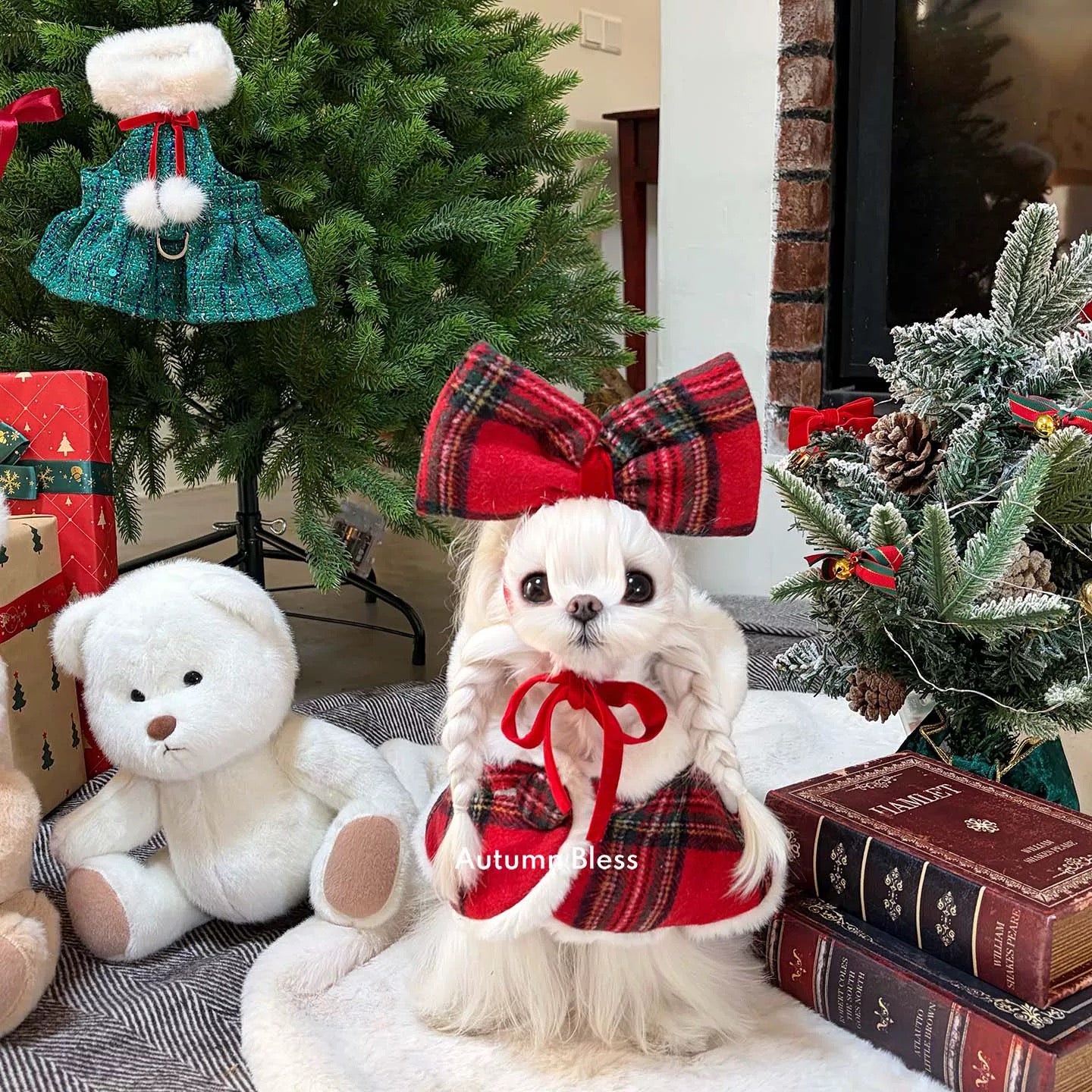 Autumn Bless メリーベリークリスマスケープセット | MerryBerry Christmas Cape Set