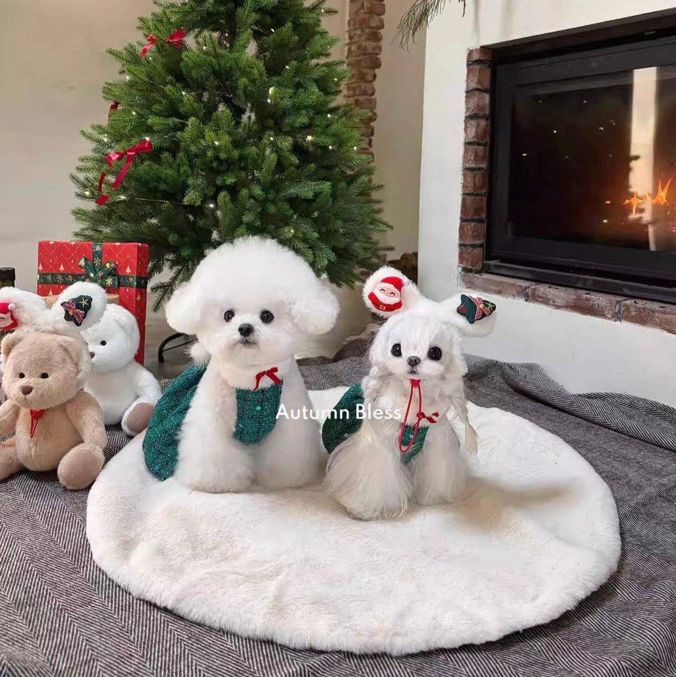 Autumn Bless メリー ベリー クリスマス アンサンブル | MerryBerry Christmas Ensemble