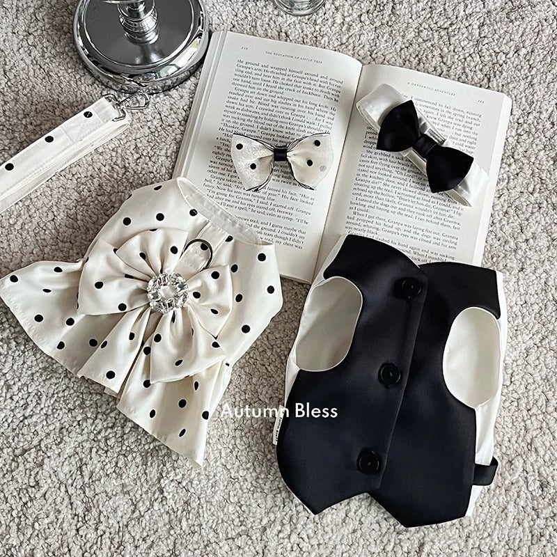 Autumn Bless サテン光沢ドレス＆ベストカップルセット | Satin Glossy Dress and Vest Couple Set