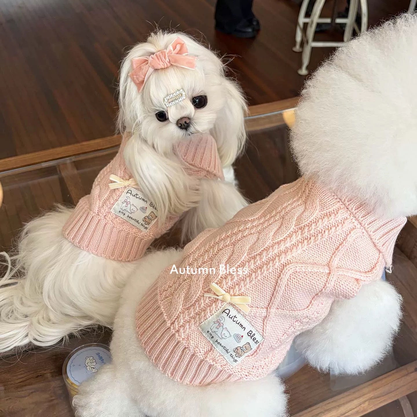 ソフトウールタッチニットベスト｜秋冬 犬服｜Autumn Bless